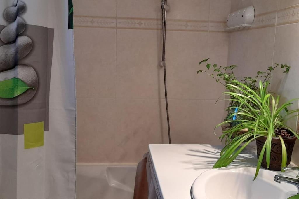 Le Chausse A Bres Chambre D'Hotes 2 Payzac  Экстерьер фото